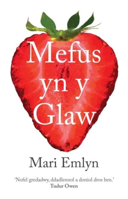 mefus yn y glaw book